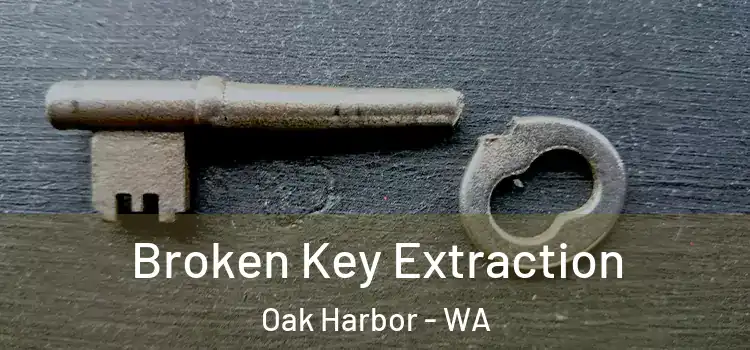 Broken Key Extraction Oak Harbor - WA