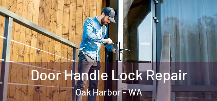 Door Handle Lock Repair Oak Harbor - WA