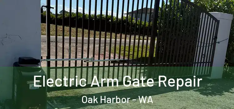 Electric Arm Gate Repair Oak Harbor - WA