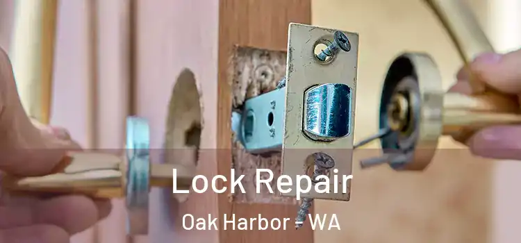 Lock Repair Oak Harbor - WA