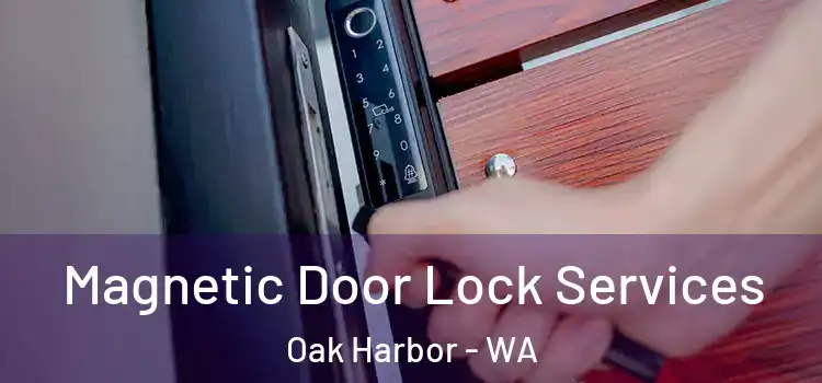 Magnetic Door Lock Services Oak Harbor - WA