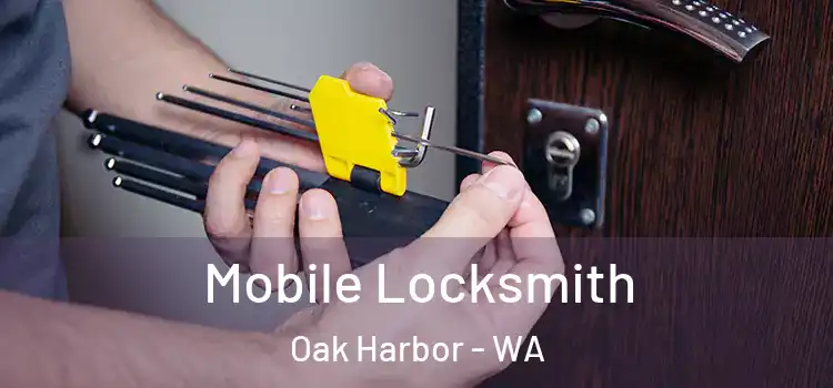 Mobile Locksmith Oak Harbor - WA